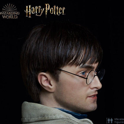 Harry Potter Silicone Head ONLY Life Size  (Daniel Radcliffe) - LM Treasures 