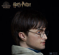 Harry Potter Silicone Head ONLY Life Size  (Daniel Radcliffe) - LM Treasures 