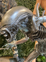 Alien vs Predator 1/2 Scale Statue #89 out of 1500 - LM Treasures 