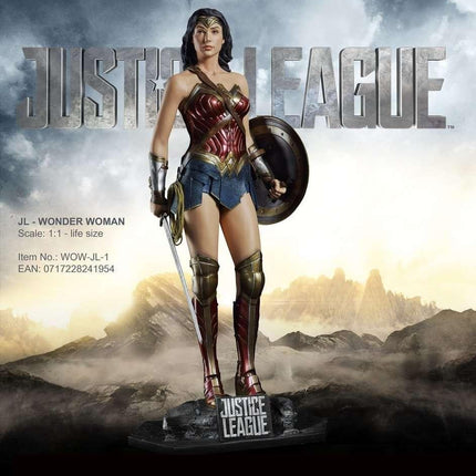 Justice League Set of 6 Life Size Statue - LM Treasures 