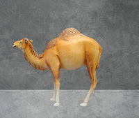Dromedary Camel Life Size Statue - LM Treasures 