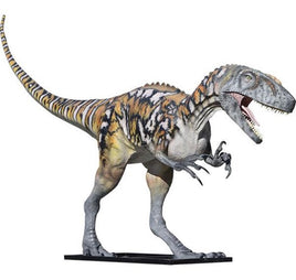 Australovenator Dinosaur Life Size Statue - LM Treasures Life Size Statues & Prop Rental
