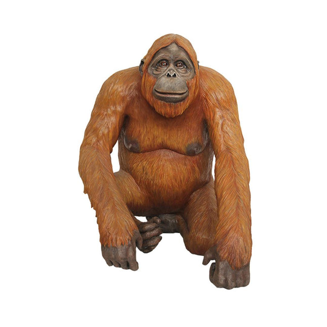 Male Orangutan Sitting Life Size Statue - LM Treasures 