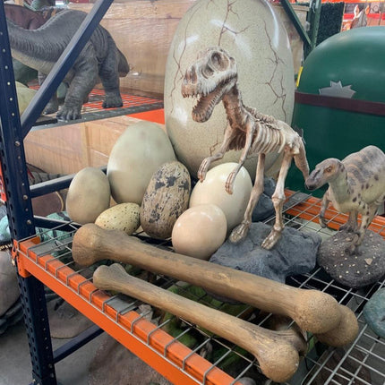 Small Dinosaur Bone Life Size Statue - LM Treasures 
