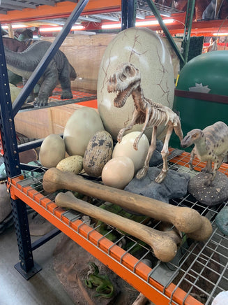 Small Dinosaur Bone Life Size Statue - LM Treasures 