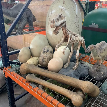 Large Dinosaur Bone Life Size Statue LM Treasures - PT