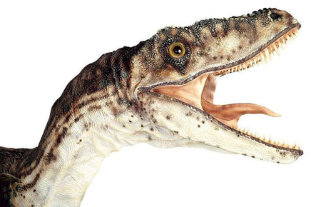 Jurassic World Velociraptor (Open Jaw) Deinonychos Life Size Statue - LM Treasures 
