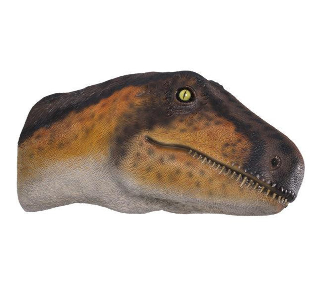 Theropod Dinosaur Head Life Size Statue - LM Treasures 