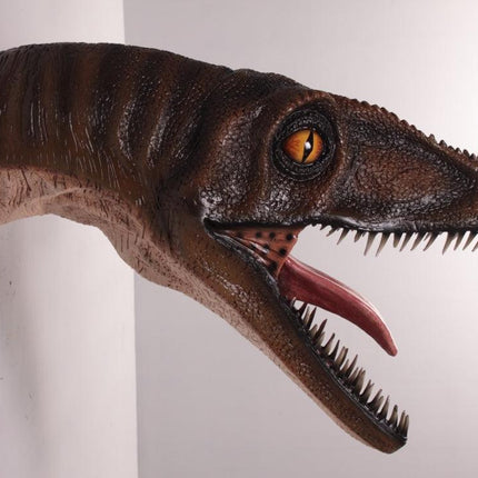 Velociraptor Dinosaur Head Life Size Statue - LM Treasures 