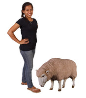 Merino Ewe Head Down Life Size Statue - LM Treasures 