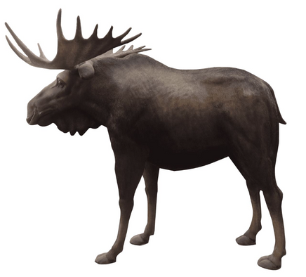 Moose Life Size Statue - LM Treasures 