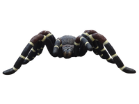 Tarantula Spider Insect Over Sized Statue - LM Treasures Life Size Statues & Prop Rental