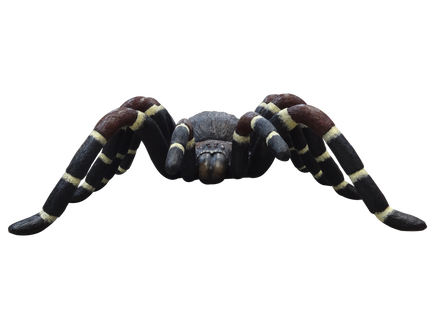 Tarantula Spider Insect Over Sized Statue - LM Treasures Life Size Statues & Prop Rental