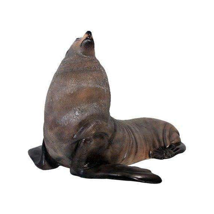 Sea Lion Male Fur Seal Life Size Statue LM Treasures - H
