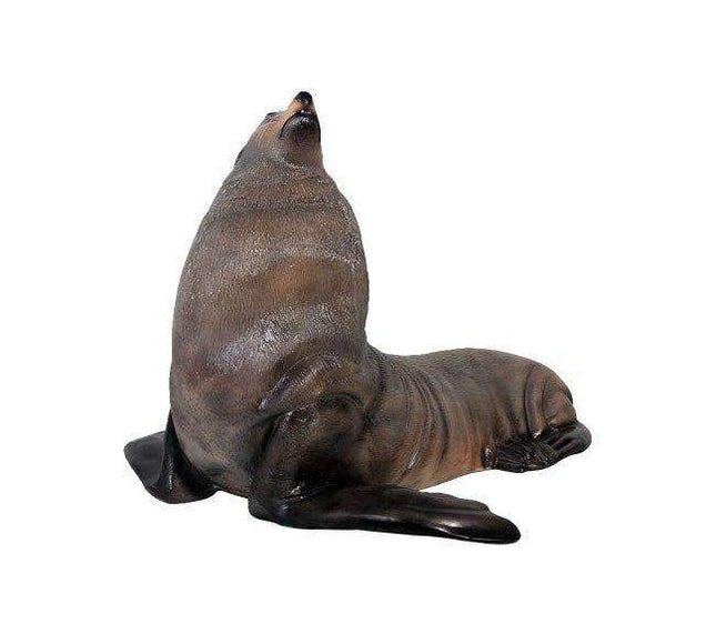 Sea Lion Male Fur Seal Life Size Statue LM Treasures - H