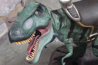 Baby T-Rex Dinosaur With Saddle Life Size Statue - LM Treasures 