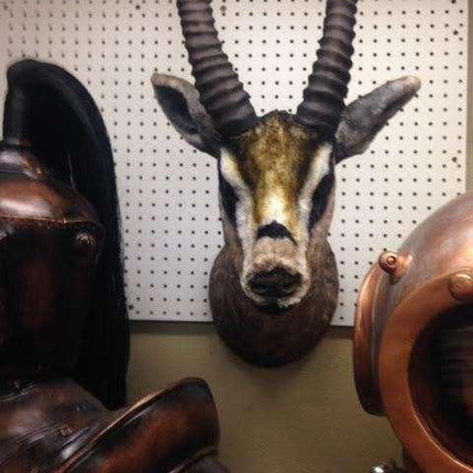 Gazelle Head Life Size Statue - LM Treasures 