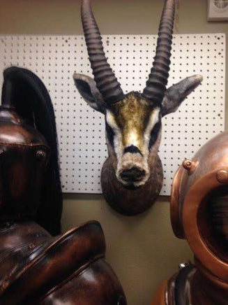 Gazelle Head Life Size Statue - LM Treasures 