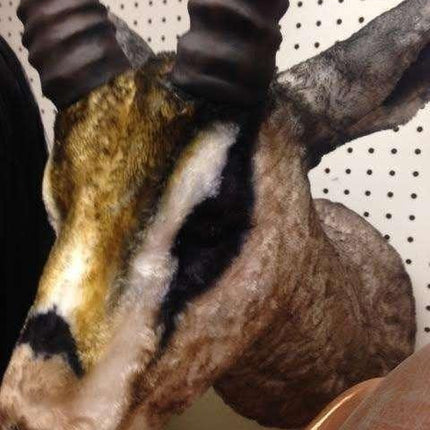 Gazelle Head Life Size Statue - LM Treasures 
