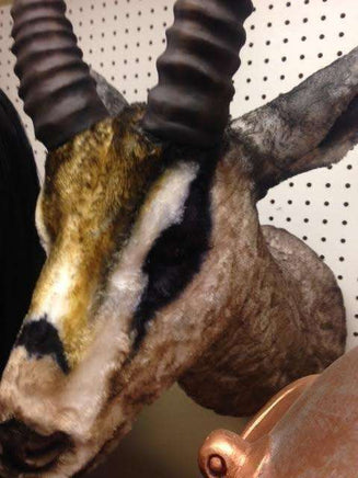 Gazelle Head Life Size Statue - LM Treasures 