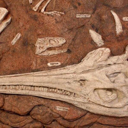 Dinosaur Fossil Dig Life Size Statue LM Treasures - H
