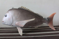 Snapper Fish Statue - LM Treasures 