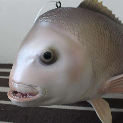 Snapper Fish Statue - LM Treasures 