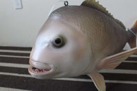 Snapper Fish Statue - LM Treasures 