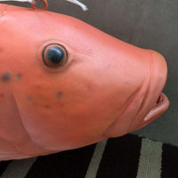 Coral Trout Life Size Statue - LM Treasures 