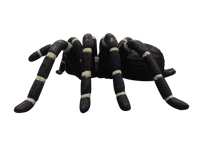 Tarantula Spider Insect Over Sized Statue - LM Treasures 