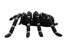 Tarantula Spider Insect Over Sized Statue - LM Treasures 