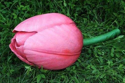 Tulip Bud Over Sized Flower Statue - LM Treasures 