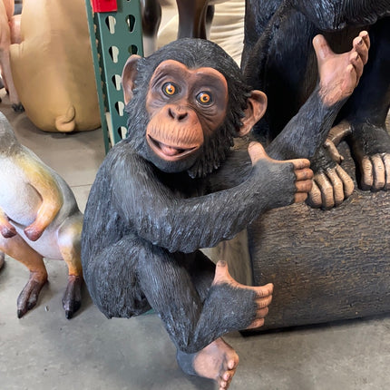 Monkey Chimpanzee Congo Life Size Statue - LM Treasures 