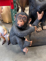 Monkey Chimpanzee Congo Life Size Statue - LM Treasures 