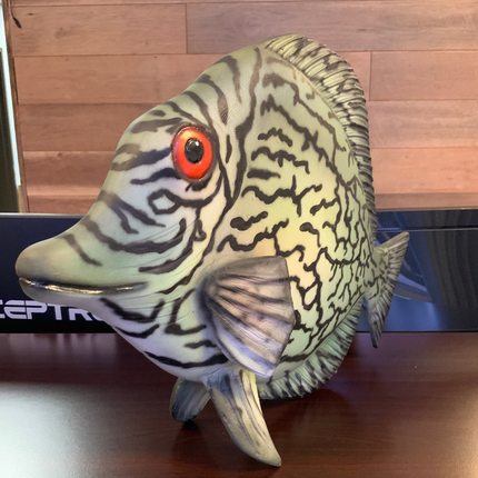Discus Fish Statue - LM Treasures 