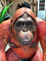 Orangutan Sitting Life Size Statue - LM Treasures Life Size Statues & Prop Rental