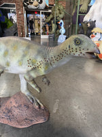 Hypsilophodont Dinosaur Life Size Statue - LM Treasures Life Size Statues & Prop Rental
