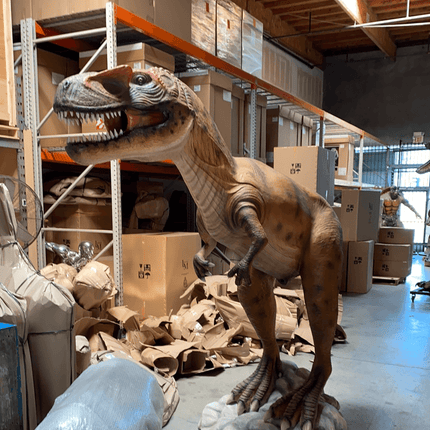 Orange Allosaurus Dinosaur Life Size Statue - LM Treasures 