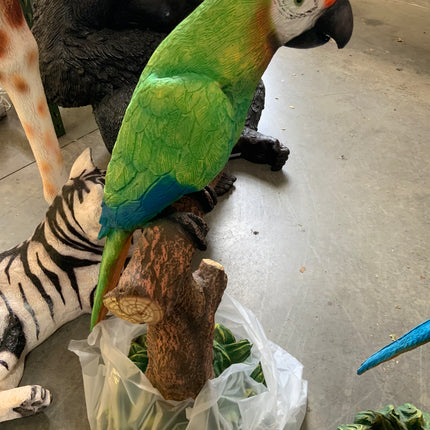 Green Macaw Buffon Parrot On Branch Life Size Statue - LM Treasures 