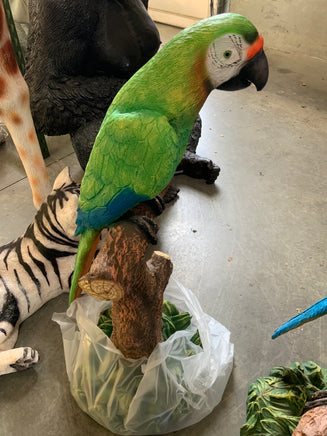 Green Macaw Buffon Parrot On Branch Life Size Statue - LM Treasures 