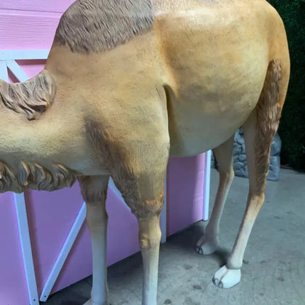 Dromedary Camel Life Size Statue - LM Treasures 