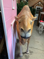 Dromedary Camel Life Size Statue - LM Treasures 