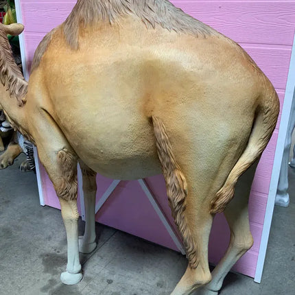 Dromedary Camel Life Size Statue - LM Treasures 