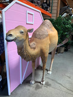 Dromedary Camel Life Size Statue - LM Treasures 