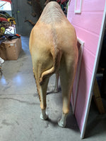 Dromedary Camel Life Size Statue - LM Treasures 