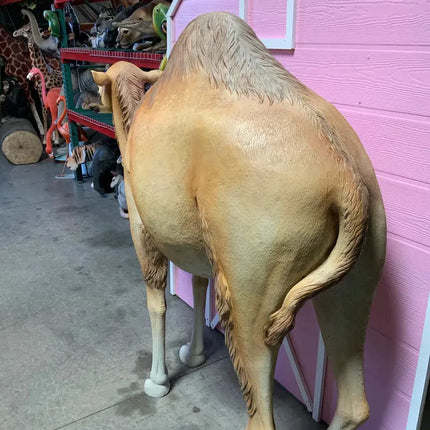 Dromedary Camel Life Size Statue - LM Treasures 