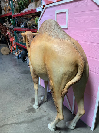Dromedary Camel Life Size Statue - LM Treasures 