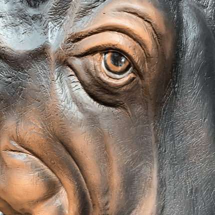 Realistic Hippopotamus Life Size Statue - LM Treasures 