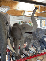 Standing Baby Elephant Life Size Statue - LM Treasures Life Size Statues & Prop Rental