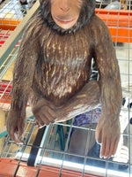 Monkey Hunky Chimpanzee Life Size Statue - LM Treasures Life Size Statues & Prop Rental